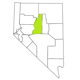 nevada fire, nevada firefighters, nv firefighters, nv fire, nevada fire department, lander county, nevada firefighters, nv firefighters, lander county ems, lander county fire apparatus, lander county fire departments