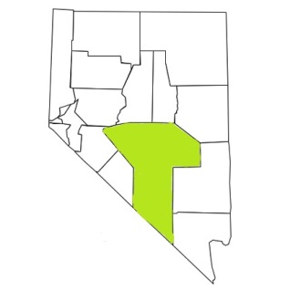 nevada fire, nevada firefighters, nv firefighters, nv fire, nevada fire department, nye county, nevada firefighters, nv firefighters, nye county ems, nye county fire apparatus, nye county fire departments