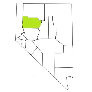 nevada fire, nevada firefighters, nv firefighters, nv fire, nevada fire department, carson city county, nevada firefighters, nv firefighters, carson city county ems, carson city county fire apparatus, carson city county fire departments