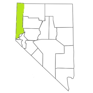 nevada fire, nevada firefighters, nv firefighters, nv fire, nevada fire department, washoe county, nevada firefighters, nv firefighters, washoe county ems, washoe county fire apparatus, washoe county fire departments